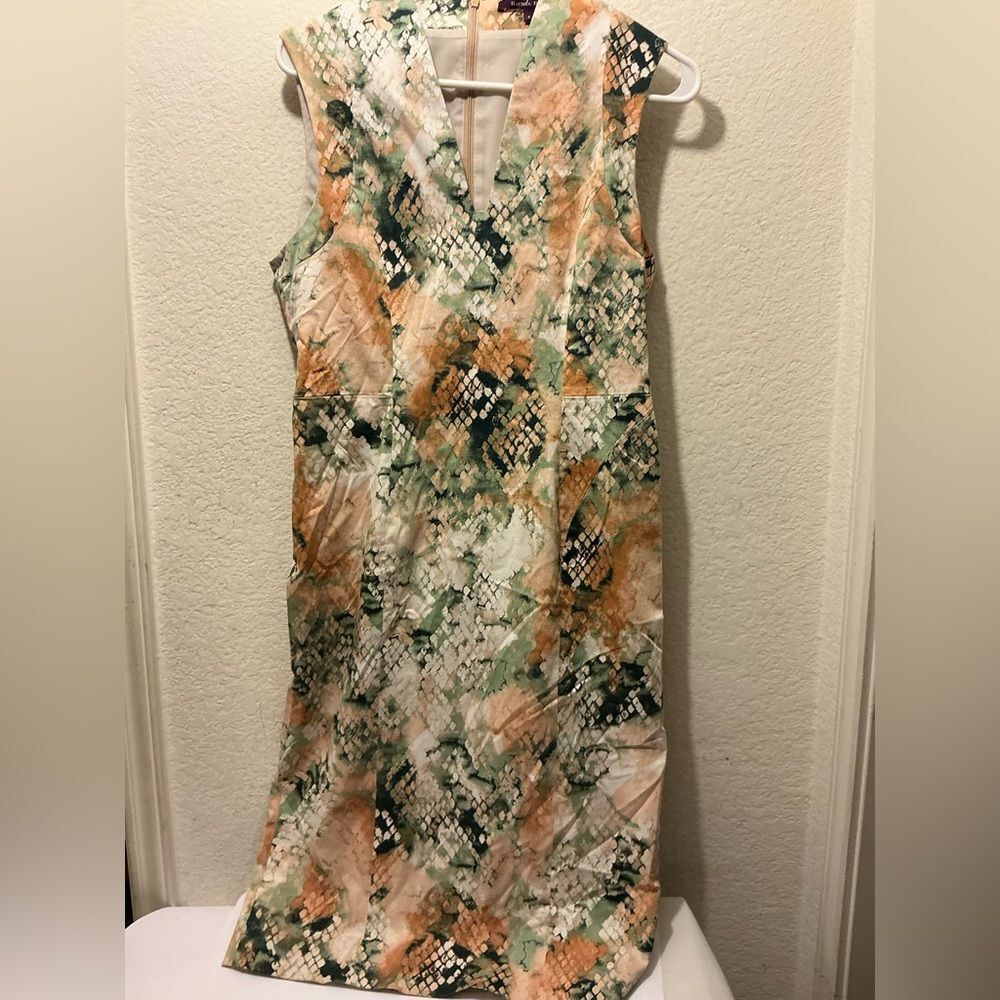 Rachel Roy Collection Watercolor Snakeskin Print Sheath Dress Sz 8 Ivory Green